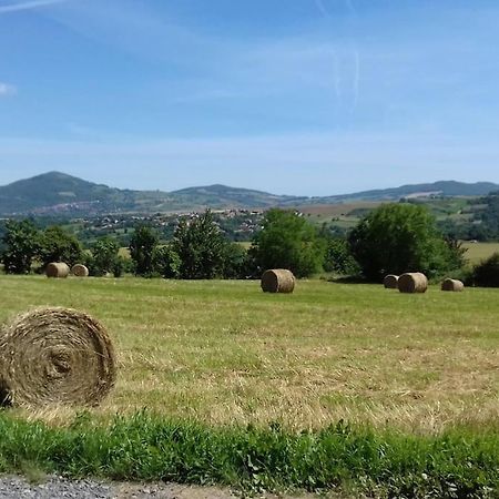 Les Pierres Blondes Apartamento Montpeyroux  Exterior foto