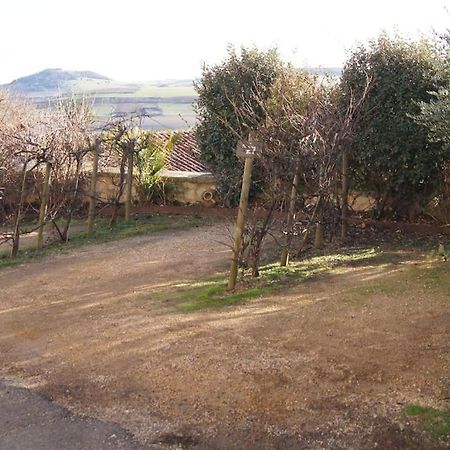 Les Pierres Blondes Apartamento Montpeyroux  Exterior foto