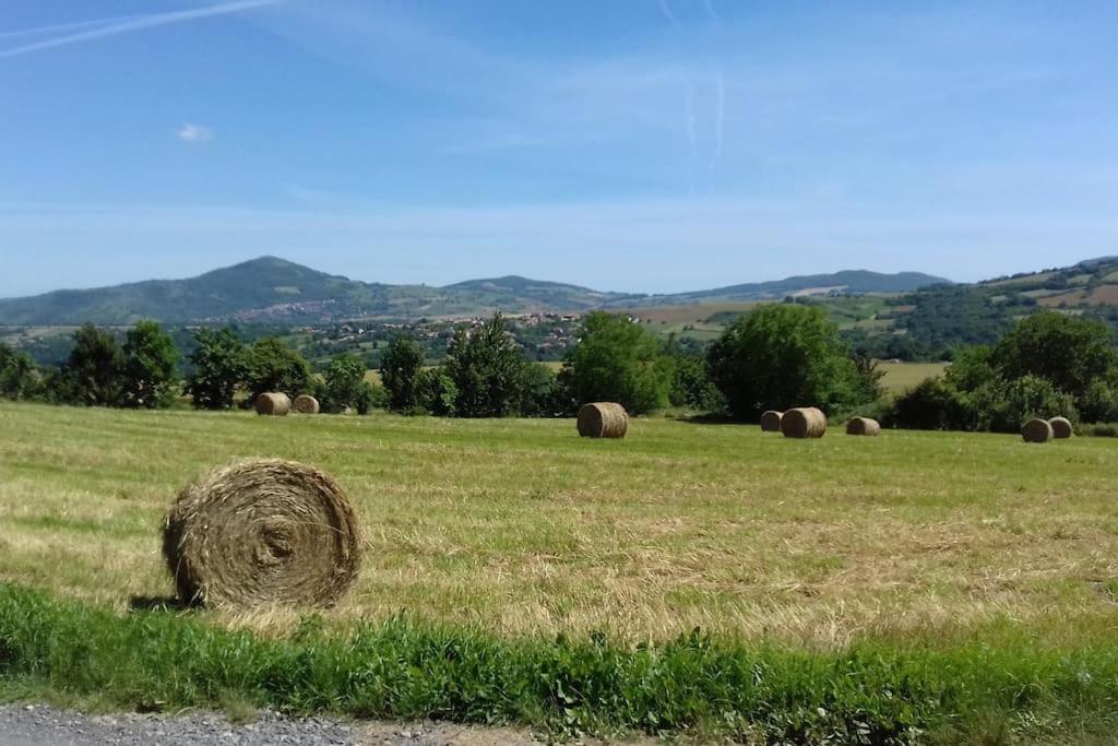 Les Pierres Blondes Apartamento Montpeyroux  Exterior foto